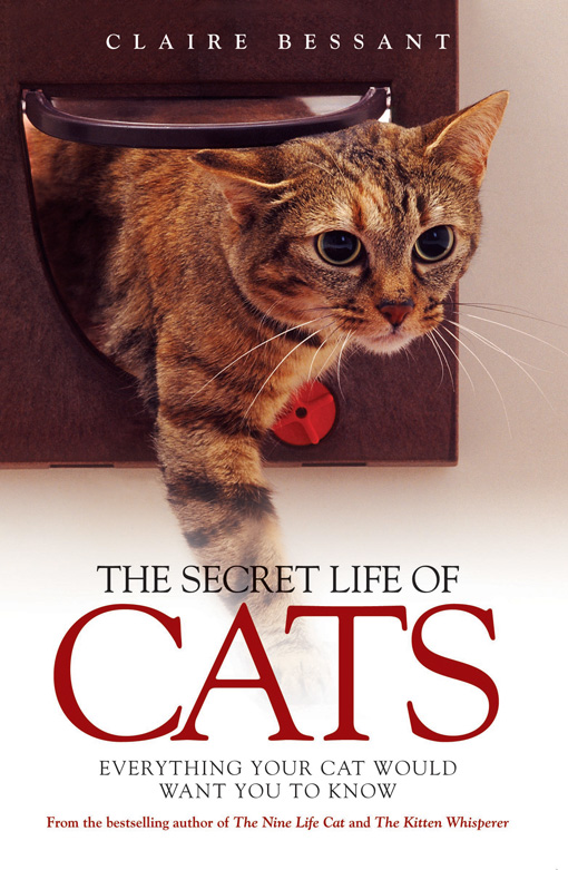 Title details for The Secret Life of Cats by Claire Bessant - Available